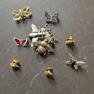 Assorted Insect Brooch Set